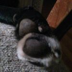 Brent Horner - @bent6543 - Instagram