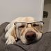 Brent Houle - Facebook