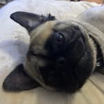 Brent Hull - @tbrenthull - Instagram