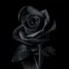 brent__jones - @brent__jones - TikTok