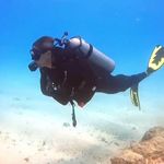 Brent Jonas - @_brentjj - Instagram
