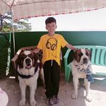 Brent Matthew E. Jonas - @brentmatthewe.jonas - Instagram