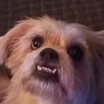 Brent kahnt - @brentkahnt - Instagram