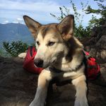 Brent Kaiser - @mbrentkaiser - Instagram