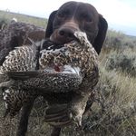 Brent Kroll - @brntkroll - Instagram