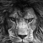 Brent Lambert - @brentlambert27 - Instagram