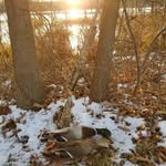 Brent Laskowski - @blasko84 - Instagram