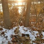Brent Laskowski - Facebook