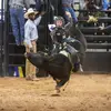 Brently Hartinger - @brentlyhartinger3 - TikTok