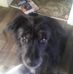 Brent Lea - Facebook