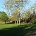Save Brent Lea Rec - Facebook