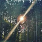Brent - @_brentleesm8v6 - Instagram