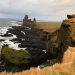 Brent Lees - @brent_lees_tnmw - Instagram