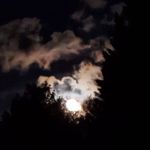 Brenda Lehr Salerno - @brentallehr - Instagram