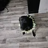 brentlahr - @brentlahr89 - TikTok