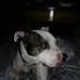 Brent Leone - Facebook