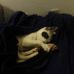 Brent Lindquist - Facebook