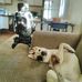 Brent Lindquist - Facebook