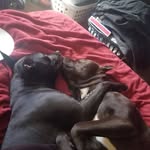 brentlock mowser - @brentlockmowser - Instagram