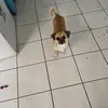 brenda lohnes - @brenda.lohnes - TikTok