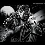 Brent Longo - Facebook