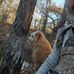 Brent Mackey - Facebook