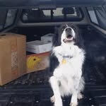 Brent Maynard - @sbfflx - Instagram