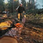 Brent Ottosen - @brentottosentimberco - Instagram