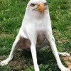 brentparry451 - @brentparry451 - TikTok