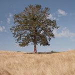 Brent Pfeiffer - @sandiegoinjuryattorney - Instagram