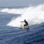 Brent Pickering - @brentpickering - Instagram