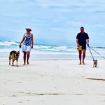 Brent Potter - @brentpotter7 - Instagram