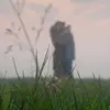 Brent Prather - @brentprather - TikTok