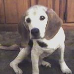 Brent Pullen - @brentp006 - Instagram