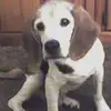 Brent Pullen - @brent.pullen - TikTok