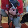 Brent Quick - @brent.quick6 - TikTok