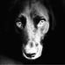 Brent Ramer - Facebook