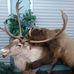 Brent Ramey - Facebook