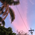 Brent - @brent_read_wn - Instagram