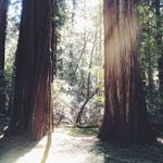 Brent Richard Elkins - @brent.richard - Instagram