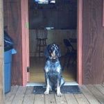 Brent Richardson - @dbrentrich - Instagram