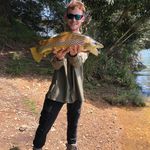 Brent Robbins - @beunoyo - Instagram