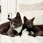 Brent & Ruthie - @brentandruthie - Instagram