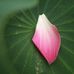Brent Schuster - Facebook