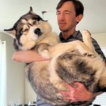 Brent Self - @brenstaself - Instagram