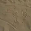 Brent Shaw - @brent.shaw08 - TikTok