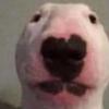 Brent Kissinger - @brentkissinger - TikTok