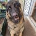 Brett Stoddart - Facebook