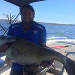 Brent Templeman - @brenttempleman - Instagram