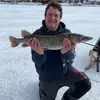 Brent Thomson - @brentthomson35 - TikTok